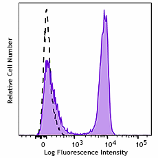 Spark Violet™ 423 anti-rat CD3 Antibody (201423)