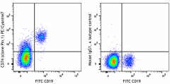 PE/Cyanine7 anti-human CD74 (Cytoplasmic) Antibody (357609)