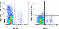 PE/Cyanine7 anti-mouse/human GL7 Antigen (T and B cell Activation Marker) Antibody (144619)