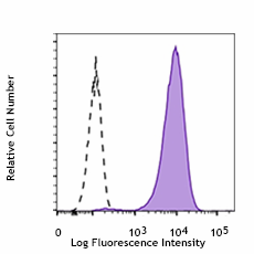 APC anti-Tubulin β 3 (TUBB3) Antibody (801219)