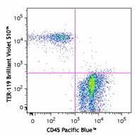 Brilliant Violet 510™ anti-mouse TER-119/Erythroid Cells Antibody (116237)
