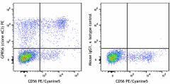 PE anti-human GPR56 Antibody (391903)