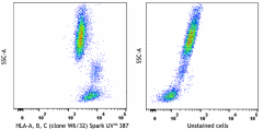 Spark UV™ 387 anti-human HLA-A,B,C Antibody (311461)