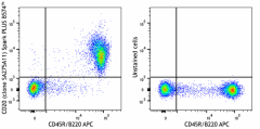 Spark PLUS B574™ anti-mouse CD20 Antibody (150443)