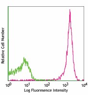 PE anti-rat CD45 Antibody (202207)