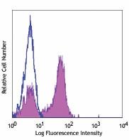 Pacific Blue™ anti-human CD27 Antibody (302821)