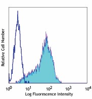 PE anti-human CD111 (Nectin-1) Antibody (340404)