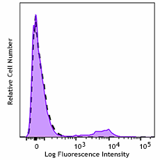 GMP PE/Cyanine7 anti-human CD56 (NCAM) Antibody (260430)
