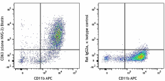 Biotin anti-mouse CD63 Antibody (143918)