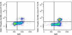 PE anti-HDAC1 Phospho (Ser406) Antibody (611003)