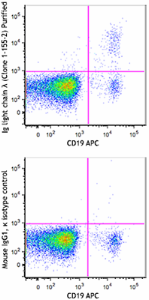 Purified anti-human Ig light chain λ Antibody (374602)