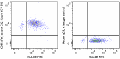 Spark YG™ 593 anti-human CD95 (Fas) Antibody (305667)