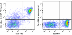 PE/Cyanine7 anti-mouse CD38 Antibody (165611)