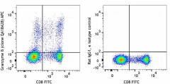 APC anti-human/mouse Granzyme B Recombinant Antibody (396407)