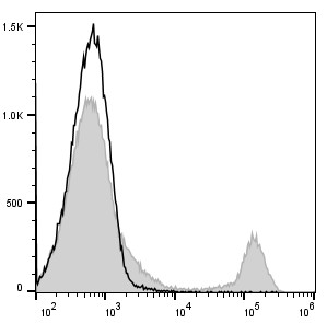 PE/Cyanine7 Anti-Mouse CD8a Antibody[53-6.7] (E-AB-F1104H)