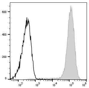 PE Anti-Mouse/Human CD11b Antibody[M1/70] (E-AB-F1081D)