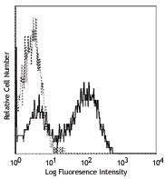 Biotin anti-mouse I-Ab (Aβb) Antibody (114403)