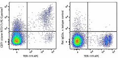 PE/Cyanine7 anti-mouse CD71 Antibody (113811)