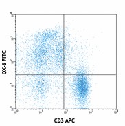 FITC anti-rat RT1B Antibody (205305)