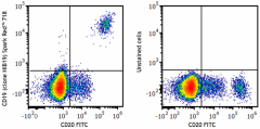 Spark Red™ 718 anti-human CD19 Antibody (302248)