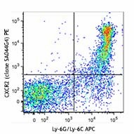 PE anti-mouse CD182 (CXCR2) Antibody (149303)