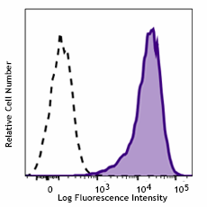 APC anti-human LGR5 (GPR49) Antibody (373805)