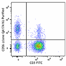 Purified anti-human CD56 (NCAM) Recombinant Antibody (392402)