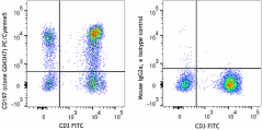 PE/Cyanine5 anti-human CD197 (CCR7) Antibody (353271)