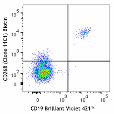 Biotin anti-human CD268 (BAFF-R) Antibody (316924)