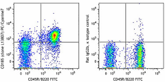 PE/Cyanine7 anti-mouse CD185 (CXCR5) Antibody (145515)