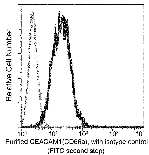 CEACAM1/CD66a Monoclonal Antibody (AN200110P)