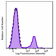 GMP PE anti-human CD56 (NCAM) Antibody (260030)