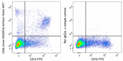 Brilliant Violet 605™ anti-human CD56 (NCAM) Antibody (343761)