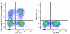Brilliant Violet 421™ anti-human IFN-γ Antibody (383405)