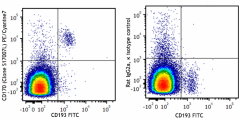 PE/Cyanine7 anti-mouse CD170 (Siglec-F) Antibody (155527)