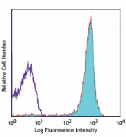 Alexa Fluor® 647 anti-mouse CD90.2 (Thy1.2) Antibody (105317)
