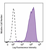 Purified anti-human MRP1 (ABCC1) Antibody (370102)