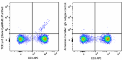 Purified anti-mouse TCR γ/δ Recombinant Antibody (111202)