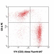 PE anti-rat RT1B Antibody (205308)