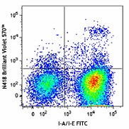 Brilliant Violet 570™ anti-mouse CD11c Antibody (117331)