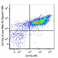 PE/Dazzle™ 594 anti-mouse CD172a (SIRPα) Antibody (144015)