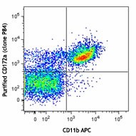 Ultra-LEAF™ Purified anti-mouse CD172a (SIRPα) Antibody (144035)