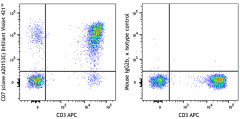 Brilliant Violet 421™ anti-human CD7 Antibody (385811)