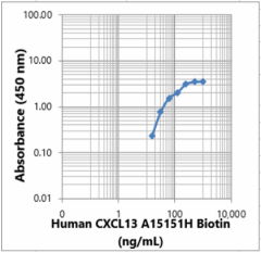 Biotin anti-human CXCL13 Antibody (612653)