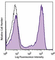 Purified anti-human GPR56 Antibody (358202)