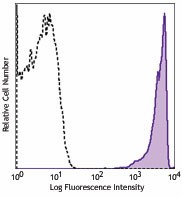 PE anti-rat CD90/mouse CD90.1 (Thy1.1) Antibody (205903)