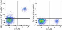 Ultra-LEAF™ Purified anti-human CD40 Antibody (377903)