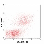PE anti-mouse CD64 (FcγRI) Antibody (139303)