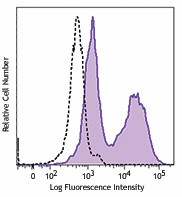 Brilliant Violet 785™ anti-mouse IL-17A Antibody (506928)