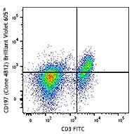 Brilliant Violet 605™ anti-mouse CD197 (CCR7) Antibody (120125)